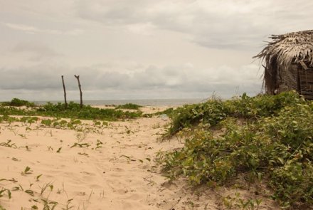 Dune de Casamance